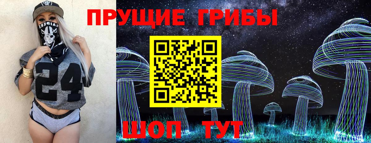 Тосно  Галлюциногенные грибы GOLDEN TEACHER  Галлюциногенные грибы Psilocybine cubensis  Вход с VPN 